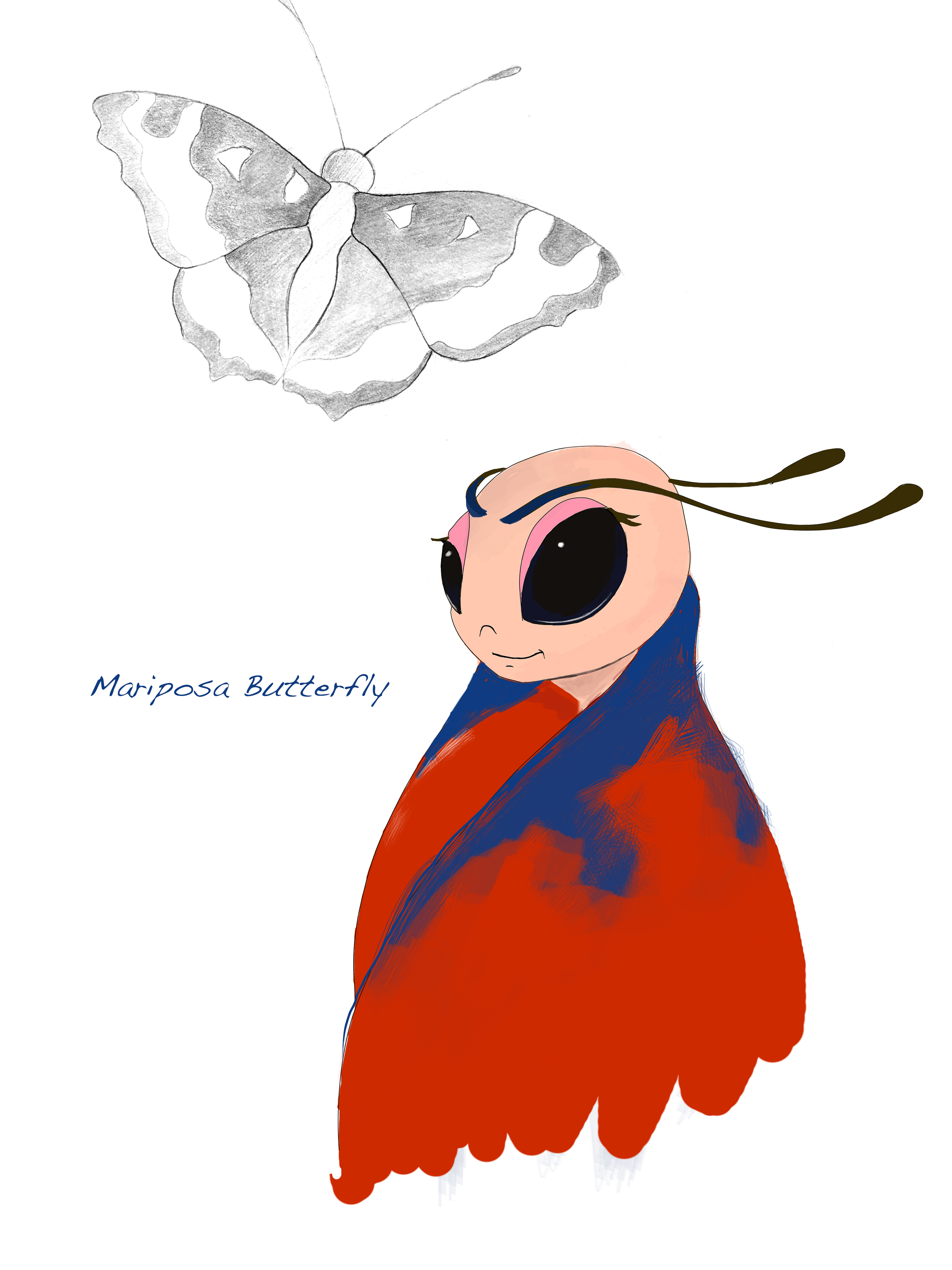 FTF- Mariposa Model Sheet